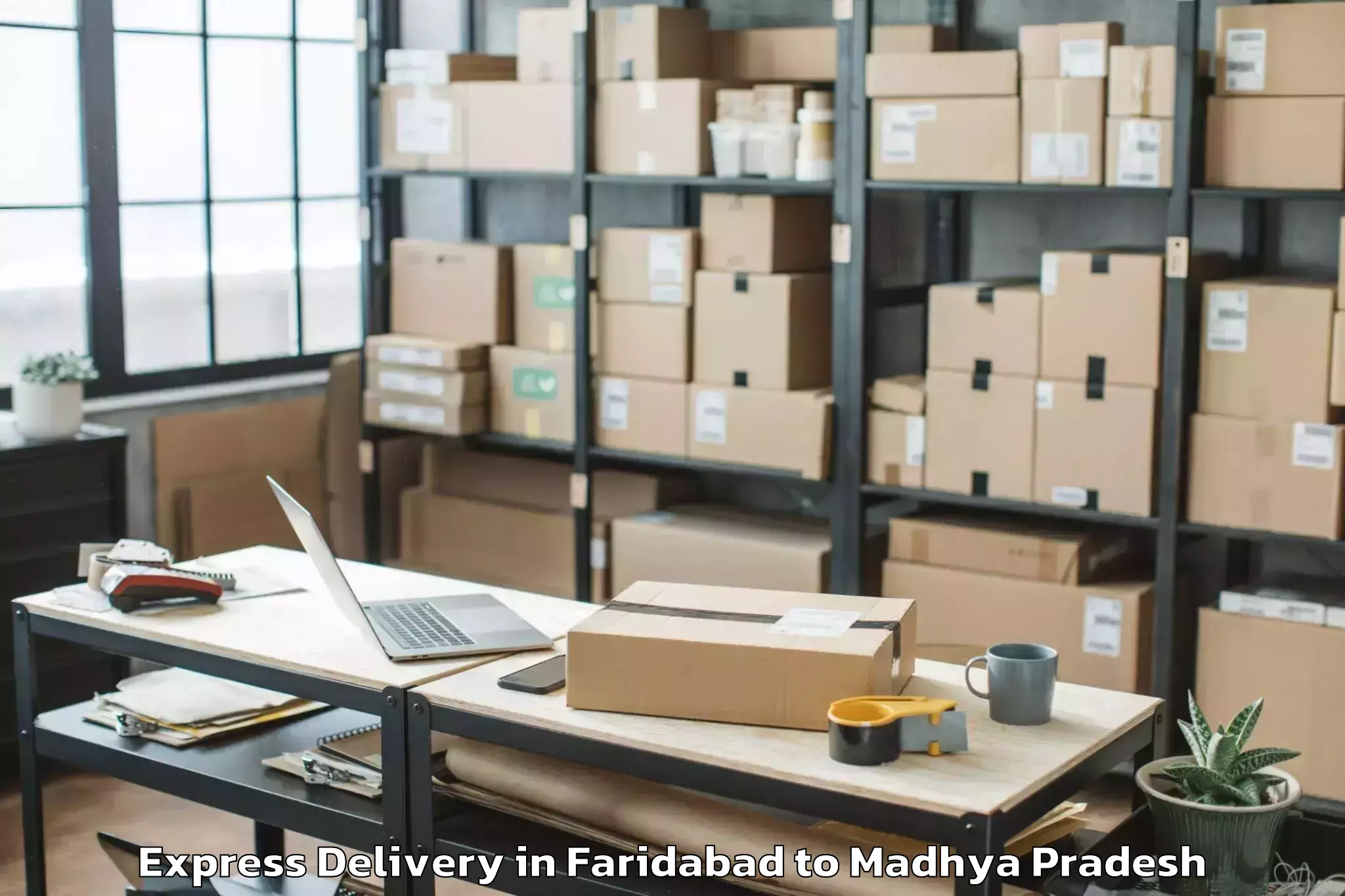 Reliable Faridabad to Raghogarh Express Delivery